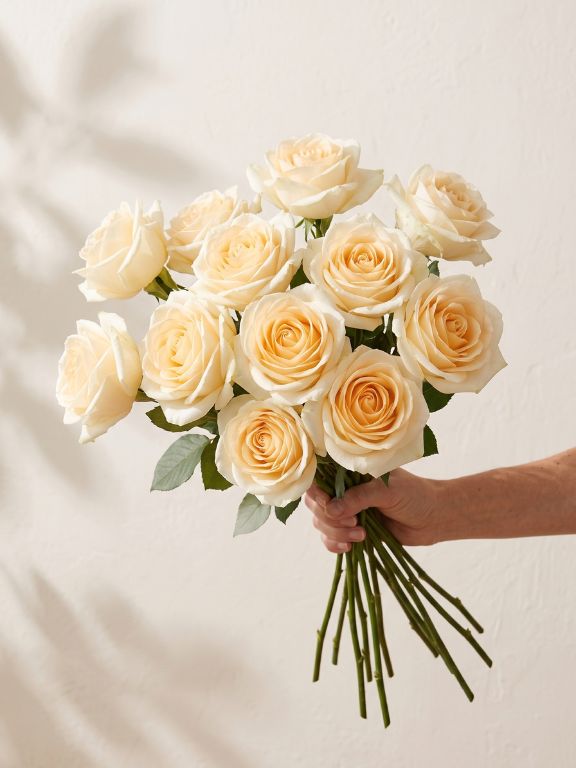 CREME DE LA CREME   ROSES